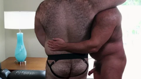 BearBack: Two Bears Go at It in Style